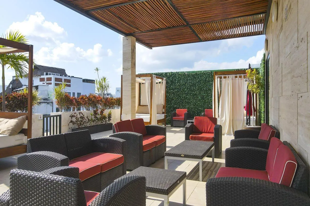 Grand Fifty Suites Πλάγια Ντελ Κάρμεν 4*,  Μεξικό