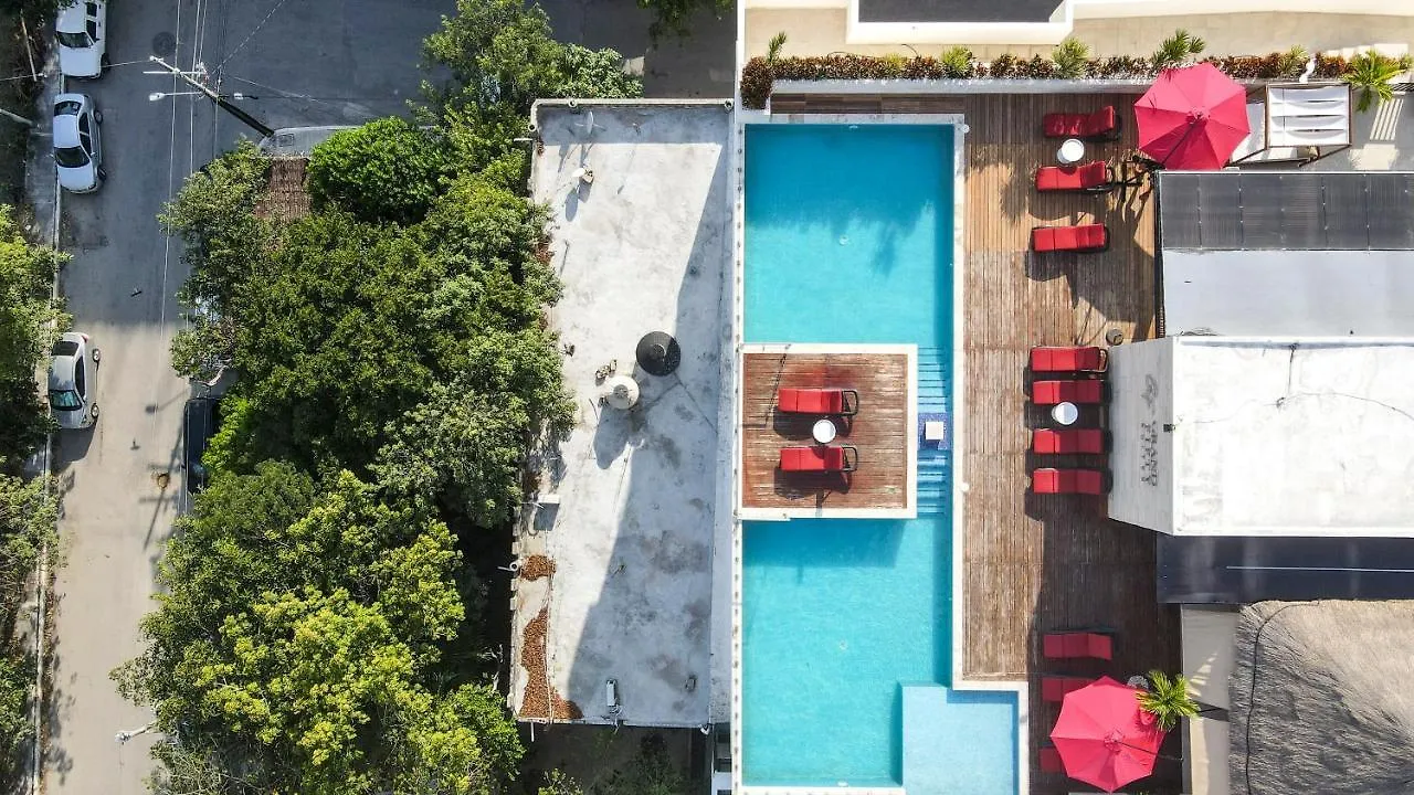 Hotel Grand Fifty Suites Playa del Carmen